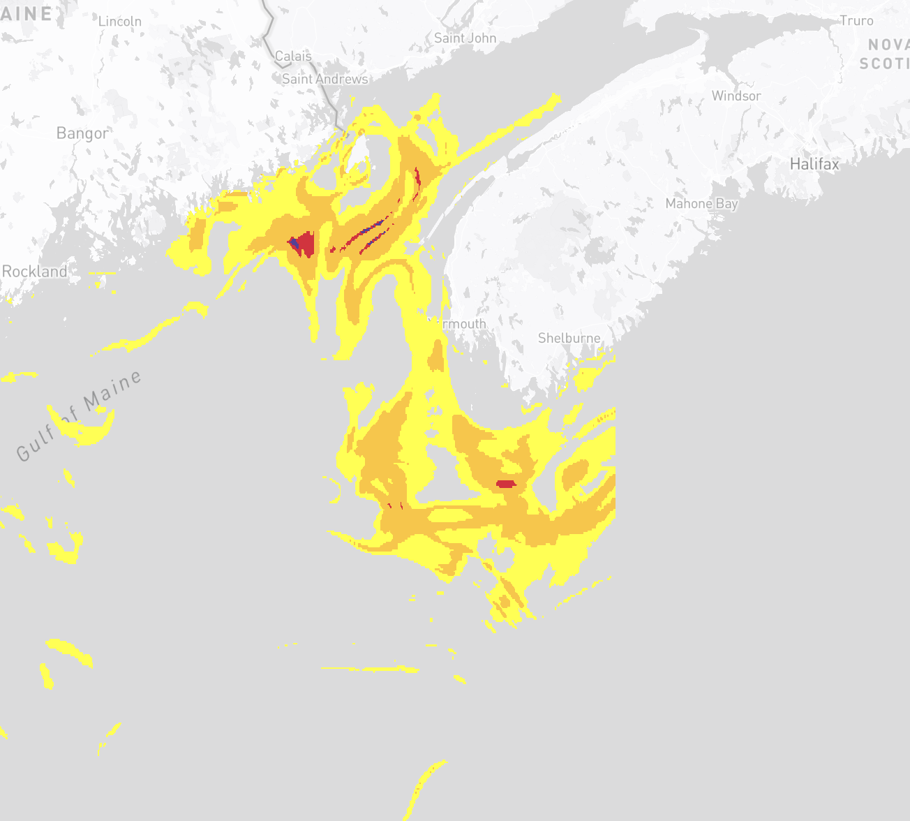 WhaleCast Conservation Impact