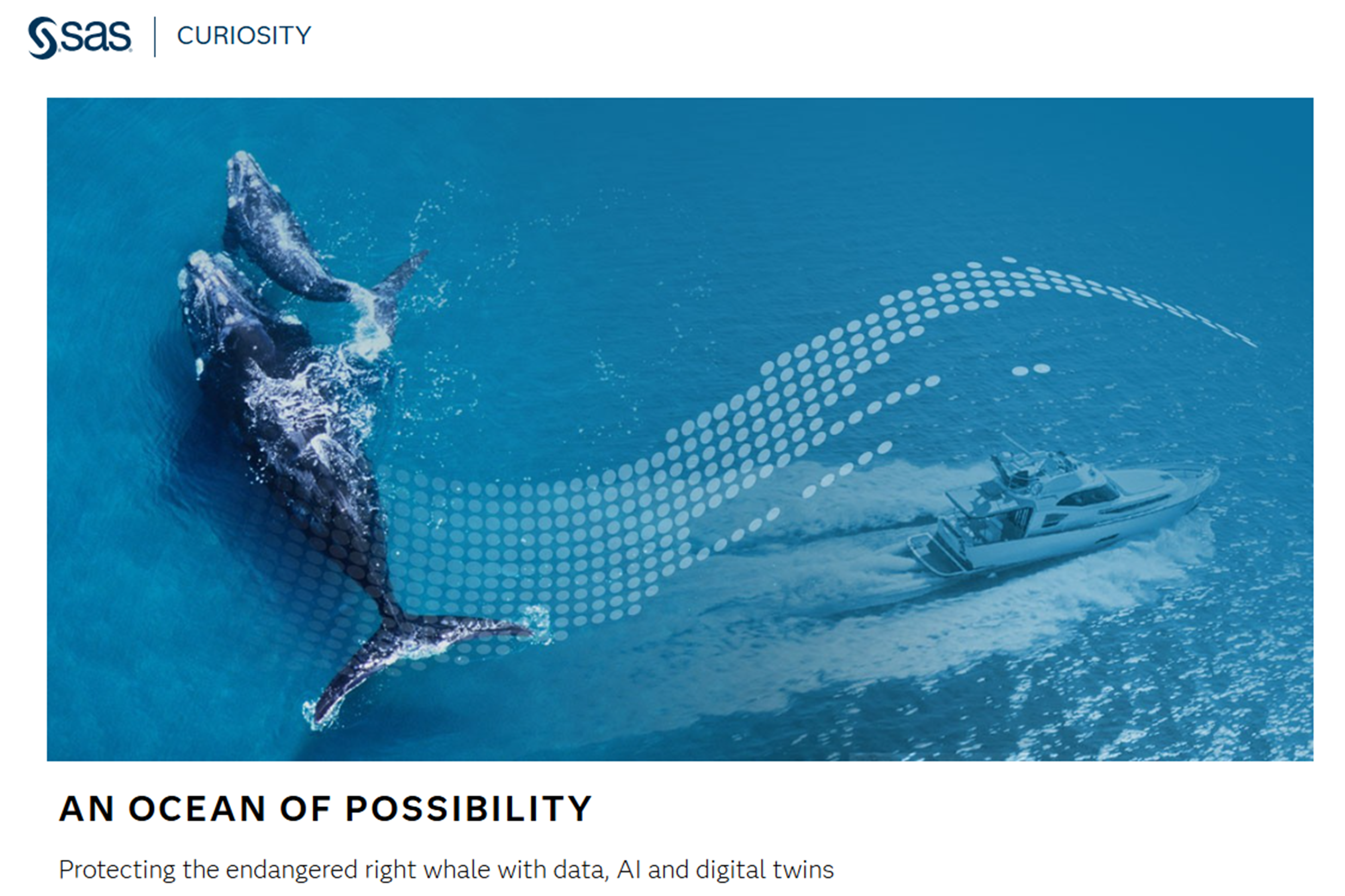 SAS Data for Good Collaboration